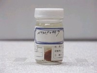 藏品(雙峰三稜箱魨)的圖片